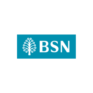 BSN Bank Simpanan Nasional